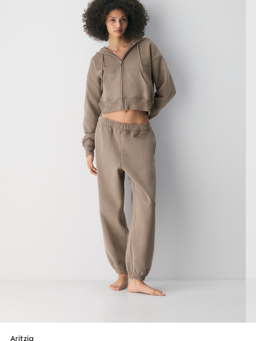 Aritzia Taupe Track Joggers - Neutral Brown